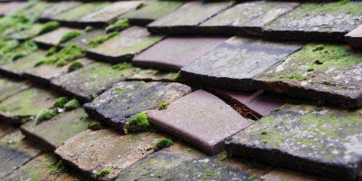 Betws Newydd roof repair costs